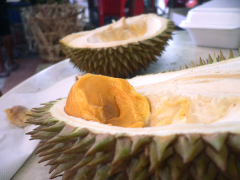 durian01