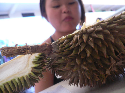 durian04