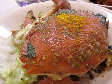 crabsToday01